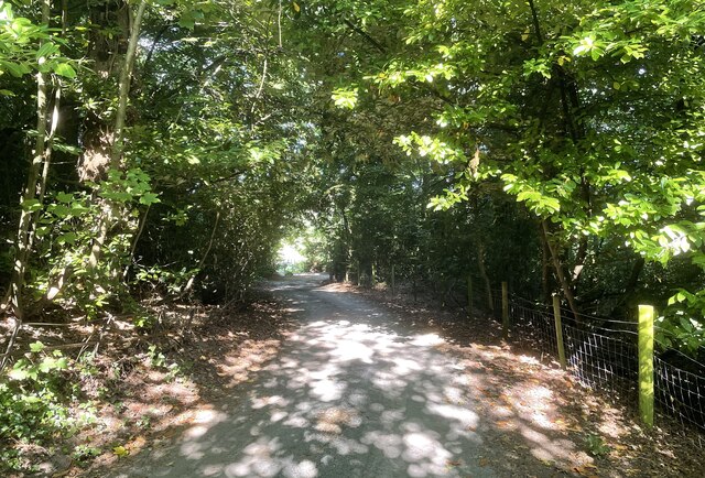Path near Rowdell