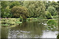 River Avon above Woodford Bridge