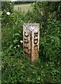 Old Boundary Marker on Moolham Lane, Ilminster