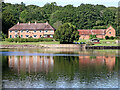 Eymore Green by Trimpley Reservoir, Worcestershire