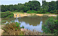 The Vinegar Pond, Mousehold Heath