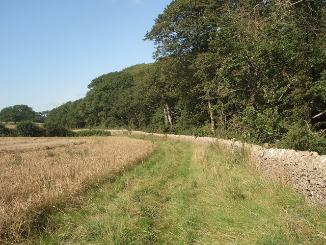 Public footpath and dry stone wall by the western edge of Coed Cwintin