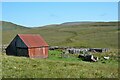 NT0614 : Old barn and sheep pens, Foal Burn by Jim Barton