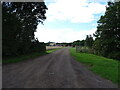 Track (footpath) off Withybridge Lane 