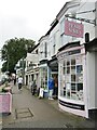 ST1600 : Honiton - High Street by Colin Smith
