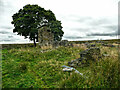 Ruins of Royd Hall, Denholme