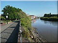 Riverside path, Gainsborough