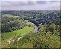 SO5616 : River Wye viewed from Symonds Yat Rock by Mat Fascione