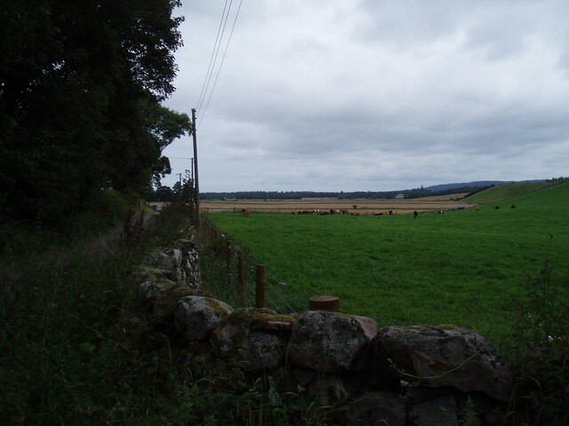 Field at Old Newton of Budgate