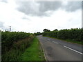 Minor road towards Tredington Park