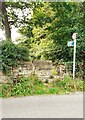 Stone step stile for footpath to Holme Eden Church from north end of Burnrigg