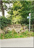 NY4755 : Stone step stile for footpath to Holme Eden Church from north end of Burnrigg by Roger Templeman