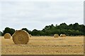 Candle Street: Harvested field with its straw baled