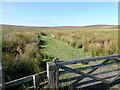 NY8488 : Pennine Way off the B6320 by Oliver Dixon