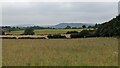 Countryside from Sellack