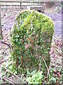 Old Boundary Marker between Scorriton and Holne