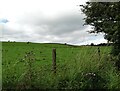 NZ0748 : Roadside field by Healeyfield Lane by Robert Graham
