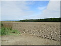 Over  ploughed  field  to  Lund  Wood