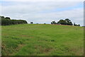 Grass field above A40, Llanon Road