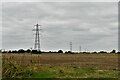 Allwood Green: Power lines