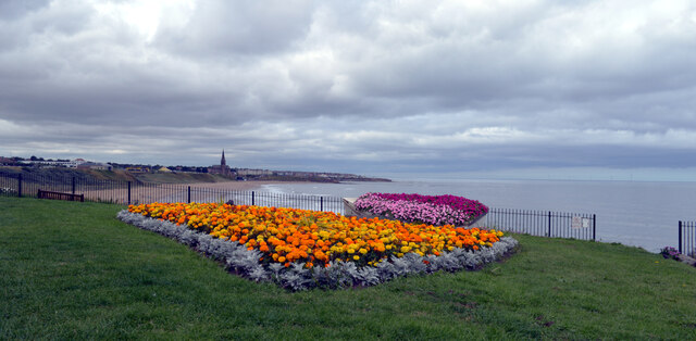 Flower bed on the cliff above Long Sands, Tynemouth