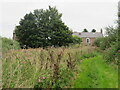 Bridleway at Mill Farm