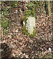 Old Boundary Marker on Knowle Down, Walkhampton