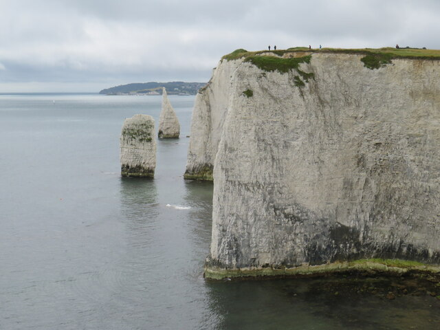 Cliffs and stacks at The Foreland, near Swanage
