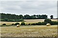 TM0374 : Rickinghall: Harvested cereal crop and baled straw by Michael Garlick
