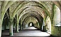 SE2768 : Fountains Abbey by Dave Pickersgill