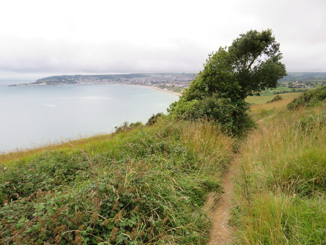 South West Coast Path overlooking Swanage