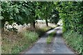 Wattisfield: Wood Lane