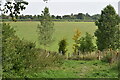 Path into fields at Great Durnford