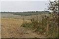 Start of autumn on Amesbury Down