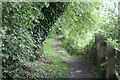 Footpath going north from Dolgwili Road