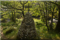 NM9080 : Memorial Cairn at Glenfinnan, Scottish Highlands by Andrew Tryon