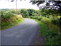 NR9379 : The B8000 road by Thomas Nugent