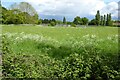 Field beside a sewage works