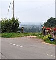 Field gate and stile in Coed Cefn, Monmouthshire