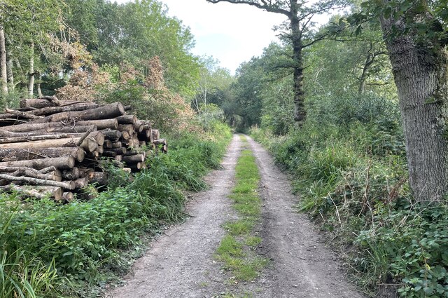 Oldhouse Lane (Track)