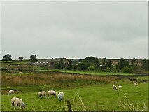 SD9547 : Kirk Sykes Farm by Stephen Craven