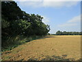 TF8218 : Harrowed field near Norwich Plantation by Jonathan Thacker