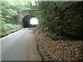 The A267 passes over Rotherfield Lane