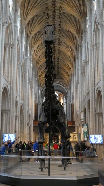 Norwich - Cathedral - Dippy in the nave by Rob Farrow