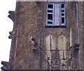 TG2308 : Norwich - Cathedral spire - Peregrine falcon by Rob Farrow
