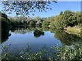 The lake at Glyn Isa Fisheries