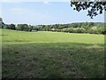 Farmland near Risbury