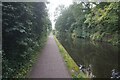 Worcester & Birmingham Canal towards bridge #79