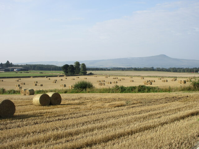 Bales near Halhill