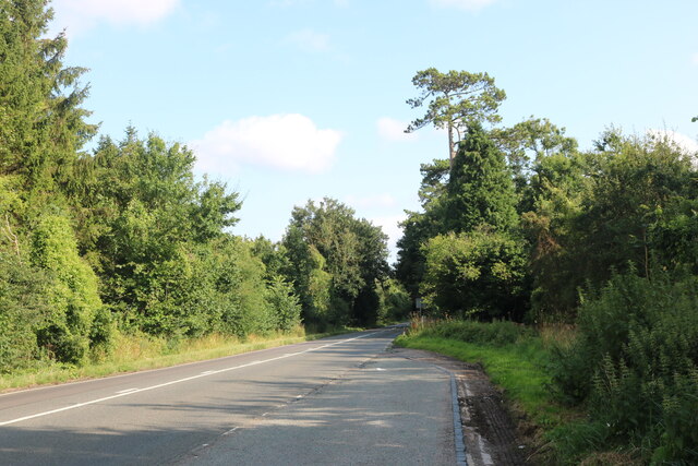 Layby on the A44, Glympton